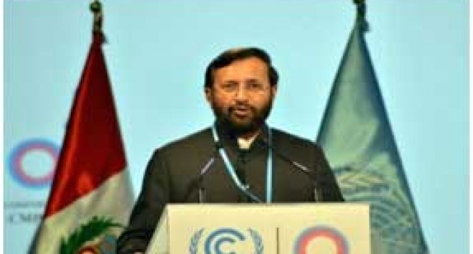 India committed to increase forest cover : Javadekar