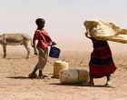 Somalia, South Sudan ‘in peril’ of famine