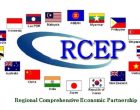 100 plus consultations held on RCEP in 6 year