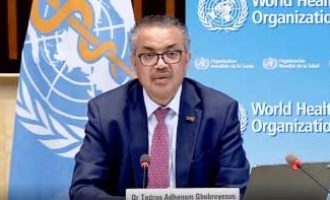 WHO urges joint efforts to prevent future Covid-like pandemic