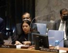 Countries emerging from UN peackeeping operations should set own priorities: India