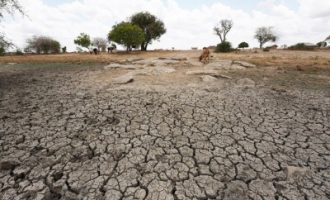 Climate change deadlier than cancer in some areas: UNDP