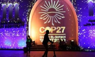 COP27 focuses on how world will feed eight billion people