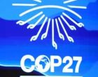 COP27 and India