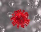 What is Covid variant XBB that accounts for more than 18% of US cases?