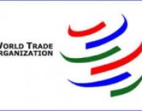 India wants final solution to food security issue in WTO
