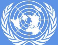 UN: Uzbekistan pays priority attention to protecting the interests and rights of children
