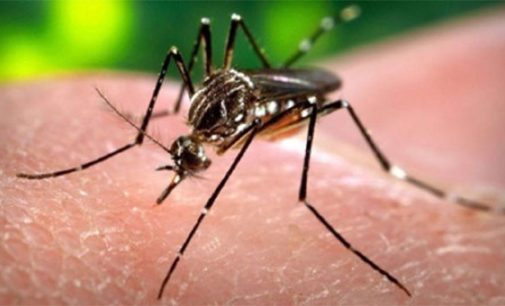 Indian firm Bharat Biotech developing vaccine for Zika virus