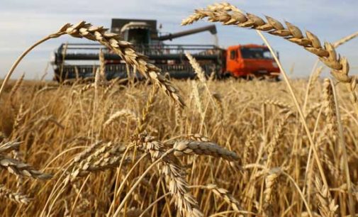 Russia becomes world’s leading wheat exporter