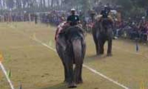 Nepal hosts elephant festival, seeks to revive tourism
