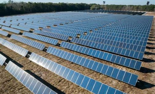 Renewable power hits record in 2016 : IEA