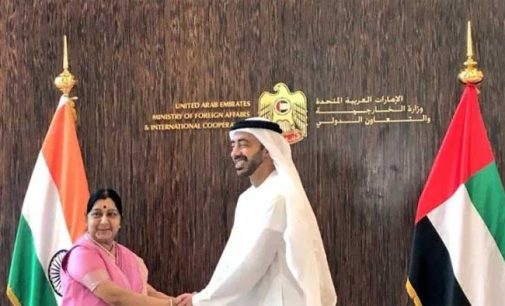 India, UAE review bilateral ties, to work together in Africa