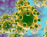 Nobel winning scientist claims COVID-19 virus originated in lab : Report