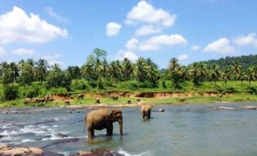 SL launches tourism promotion initiatives with Russia, Ukraine