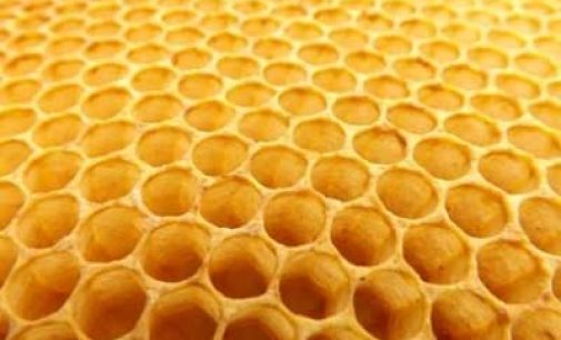 Indian scientists develop noise control absorber mimicking beehives