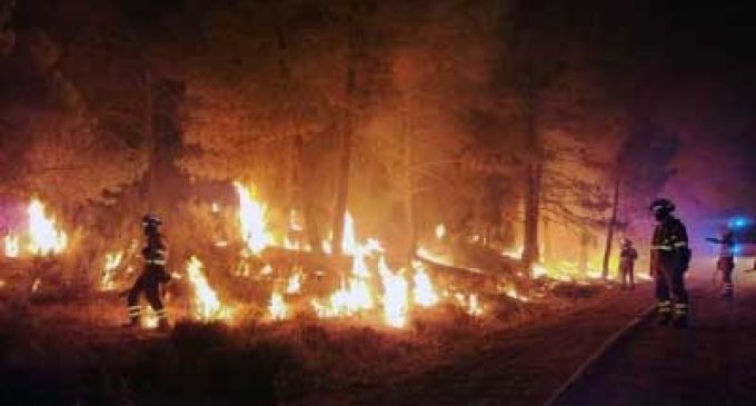 EU experiencing worst forest fires since records began in 2006