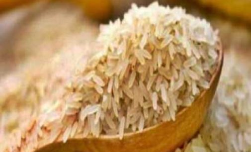 HAFED to export 85,000 MT basmati rice to UAE