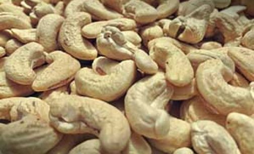 India’s cashew nuts head for US, Bangladesh, Qatar as new markets open